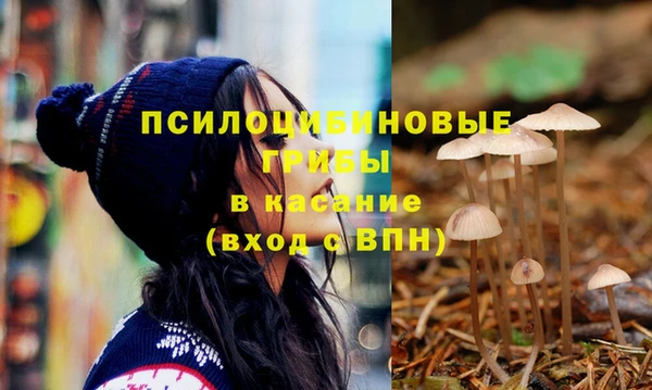 mdpv Надым