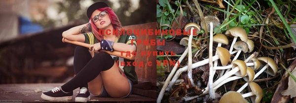 MDMA Premium VHQ Бердск